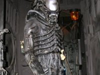 photos 2000-200902299